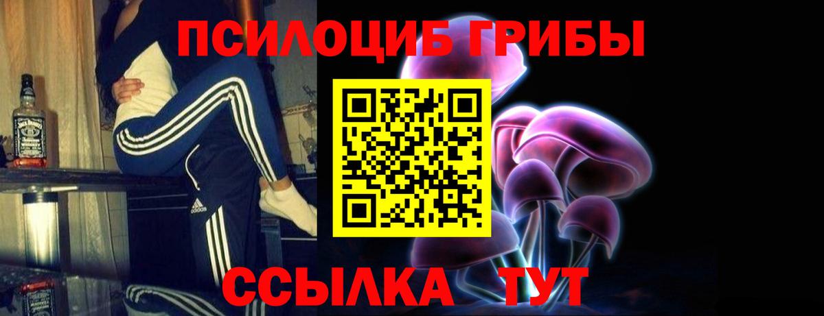 Галлюциногенные грибы GOLDEN TEACHER  хочу наркоту  Тимашёвск  Вход с VPN 
